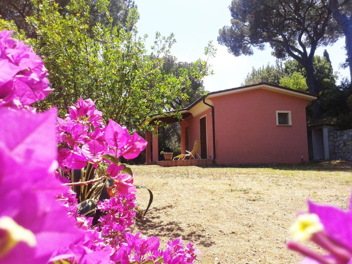 Giada Holiday home Capoliveri (Isola d'Elba)