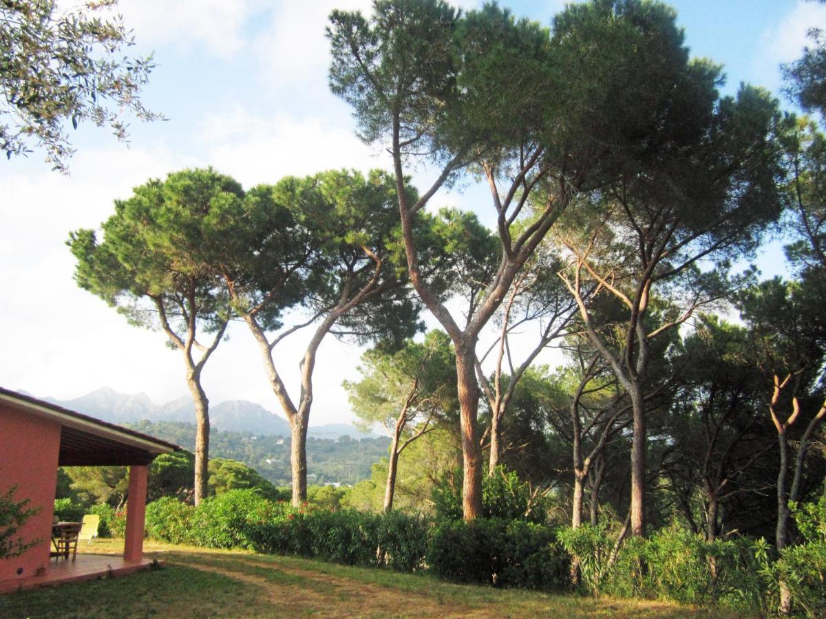 Giada Capoliveri (Isola d'Elba)
