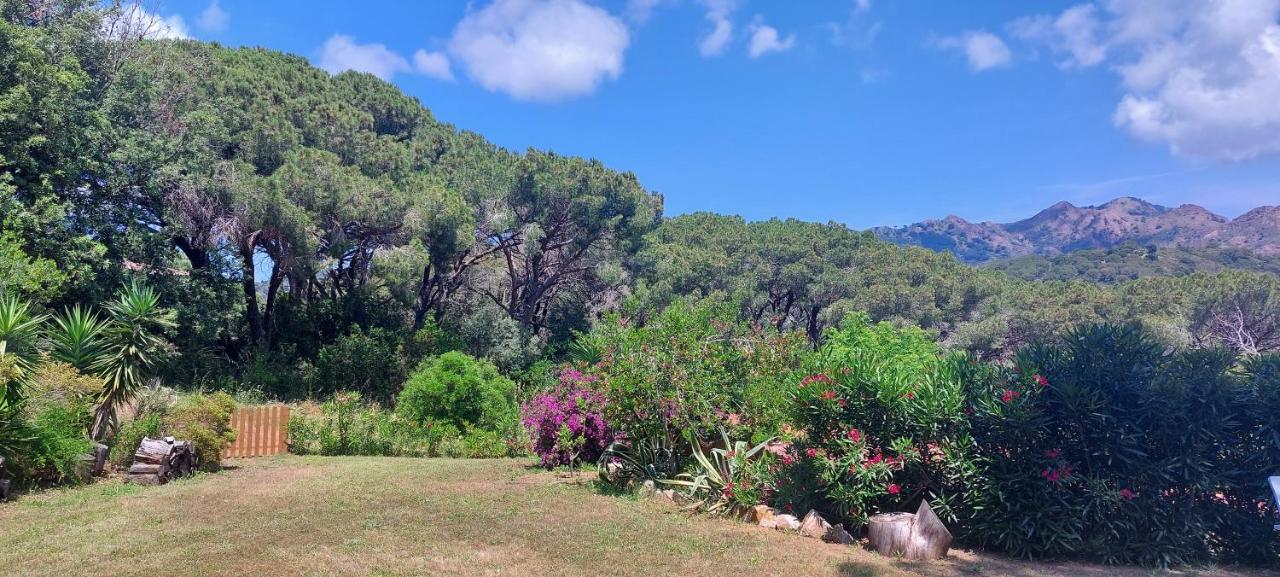 Giada Capoliveri (Isola d'Elba)